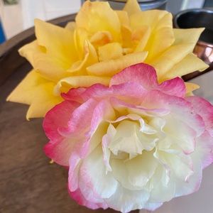 Meet your Posher, Ahynoam